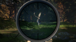 theHunter: Call of the Wild™ - Scopes and Crosshairs Pa - изображение № 7