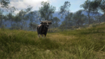 theHunter: Call of the Wild™ - Emerald Coast Australia - изображение № 8