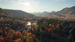 theHunter: Call of the Wild™ - New England Mountains DL - изображение № 4