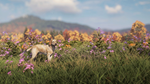 theHunter: Call of the Wild™ - Labrador Retriever DLC - изображение № 7