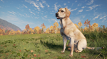 theHunter: Call of the Wild™ - Labrador Retriever DLC - изображение № 3