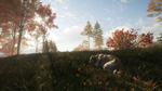 theHunter: Call of the Wild™ - Labrador Retriever DLC - изображение № 8