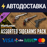 theHunter: Call of the Wild™ - Assorted Sidearms Pack D