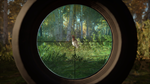 theHunter: Call of the Wild™ - Revontuli Coast DLC - изображение № 3