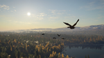 theHunter: Call of the Wild™ - Revontuli Coast DLC - изображение № 2