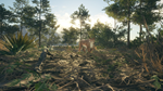 theHunter: Call of the Wild™ - Rancho del Arroyo DLC - изображение № 3