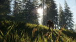 theHunter: Call of the Wild™ - Bloodhound DLCSTEAM - изображение № 3
