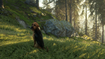 theHunter: Call of the Wild™ - Bloodhound DLCSTEAM - изображение № 6
