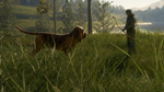 theHunter: Call of the Wild™ - Bloodhound DLCSTEAM - изображение № 4