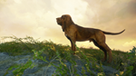 theHunter: Call of the Wild™ - Bloodhound DLCSTEAM - изображение № 2