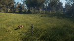 theHunter: Call of the Wild™ - Bloodhound DLCSTEAM - изображение № 8