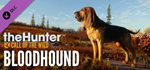 theHunter: Call of the Wild™ - Bloodhound DLCSTEAM