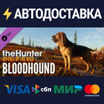 theHunter: Call of the Wild™ - Bloodhound DLCSTEAM