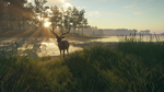 theHunter: Call of the Wild™ - Te Awaroa National Park  - изображение № 7