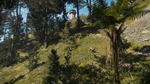 theHunter: Call of the Wild™ - Te Awaroa National Park  - изображение № 5