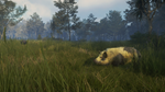 theHunter: Call of the Wild™ - Te Awaroa National Park  - изображение № 8