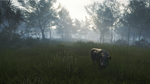 theHunter: Call of the Wild™ - Te Awaroa National Park  - изображение № 4