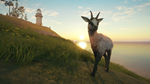 theHunter: Call of the Wild™ - Te Awaroa National Park  - изображение № 2