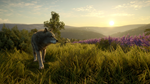 theHunter: Call of the Wild™ - Cuatro Colinas Game Rese - изображение № 6