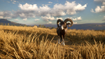 theHunter: Call of the Wild™ - Cuatro Colinas Game Rese - изображение № 7