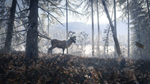 theHunter: Call of the Wild™ - Medved-Taiga DLCSTEAM - изображение № 2