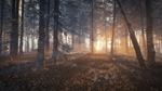 theHunter: Call of the Wild™ - Medved-Taiga DLCSTEAM - изображение № 4