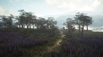 theHunter: Call of the Wild™ - Parque Fernando DLC - изображение № 4