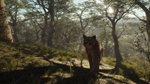 theHunter: Call of the Wild™ - Parque Fernando DLC - изображение № 2