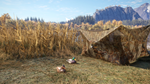 theHunter: Call of the Wild™ - Duck and Cover Pack DLC - изображение № 5