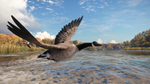 theHunter: Call of the Wild™ - Wild Goose Chase Gear DL - изображение № 7