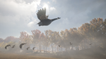 theHunter: Call of the Wild™ - Wild Goose Chase Gear DL - изображение № 8