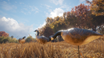 theHunter: Call of the Wild™ - Wild Goose Chase Gear DL - изображение № 6