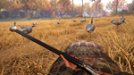 theHunter: Call of the Wild™ - Wild Goose Chase Gear DL - изображение № 5