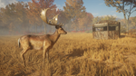 theHunter: Call of the Wild™ - Tents & Ground Blinds DL - изображение № 2