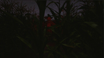 Corn FieldSTEAM РФ/СНГ/УКР/КЗ ️АВТО - изображение № 8