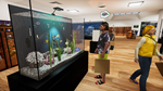 Aquatic Store SimulatorSTEAM РФ/СНГ/УКР/КЗ ️АВТО - изображение № 5