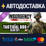 Insurgency: Sandstorm - Tactical Doc Gear Set DLC