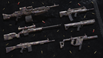 Insurgency: Sandstorm - Desert Veteran Weapon Skin Set  - изображение № 3