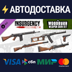 Insurgency: Sandstorm - Woodburn Weapon Skin Set DLC