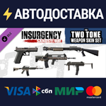 Insurgency: Sandstorm - Two-Tone Weapon Skin Set DLC