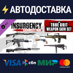 Insurgency: Sandstorm - True Grit Weapon Skin Set DLC