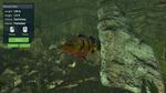 Ultimate Fishing Simulator - Aquarium DLCSTEAM - изображение № 4