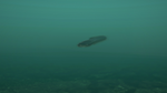 Ultimate Fishing Simulator - Taupo Lake DLCSTEAM - изображение № 5
