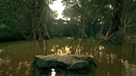Ultimate Fishing Simulator - Amazon River DLCSTEAM - изображение № 8