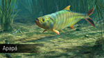 Ultimate Fishing Simulator - Amazon River DLCSTEAM - изображение № 2
