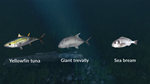 Ultimate Fishing Simulator - New Fish Species DLC - изображение № 5