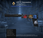 USP-S | Нержавейка