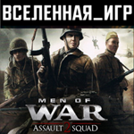 Men of War: Assault Squad 2 (REGION FREE) STEAM КЛЮЧ 