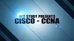 CCNA Сборник для Подготовки к Экзамену (RUS/ENG)