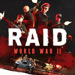 RAID: World War II️PS4/PS5 Турция